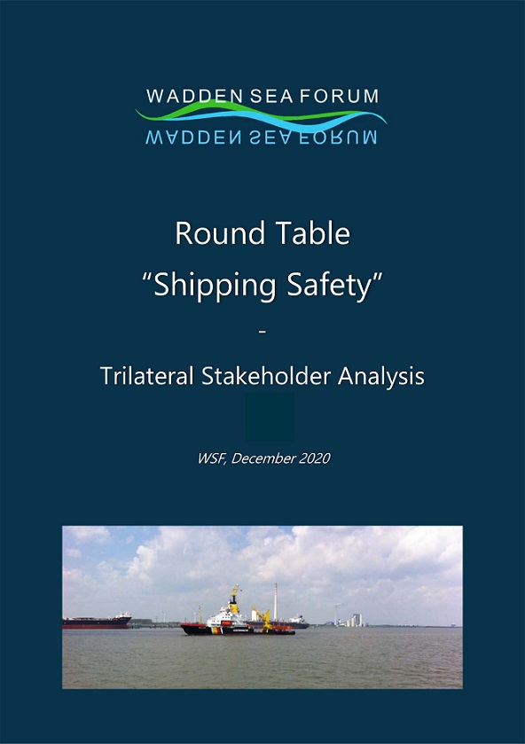 Bericht Schifffahrt Sicherheit - Trilaterale Stakeholder Analyse vom WSF